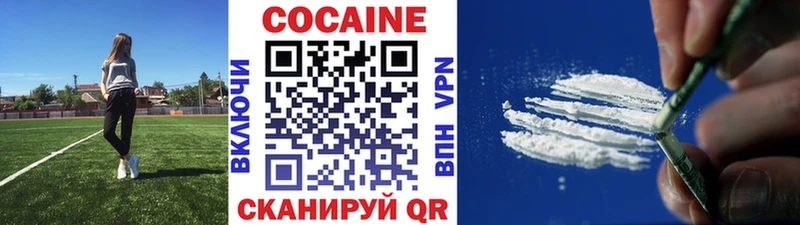 Cocaine Fish Scale  что такое   Суджа 