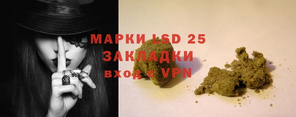 ECSTASY Алзамай