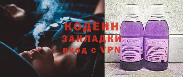 ECSTASY Алзамай