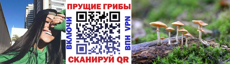 Галлюциногенные грибы мухоморы Суджа